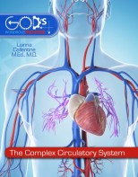 The Complex Circulatory System - Elementary Anatomy